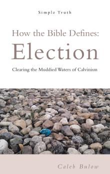 Election book cover
